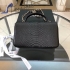 Chanel Bag 195 snake